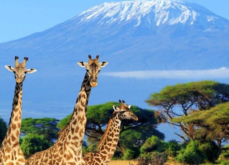 Kenya-1